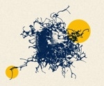 Herpes Virus Protein Enhances T-Cell Survival for Cancer Therapy