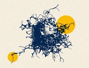 Herpes Virus Protein Enhances T-Cell Survival for Cancer Therapy