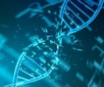 Repairing DNA Double-Strand Breaks May Improve Genomic Stability by Limiting Organelle-to-Nucleus Gene Transfer