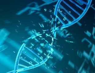 Repairing DNA Double-Strand Breaks May Improve Genomic Stability by Limiting Organelle-to-Nucleus Gene Transfer