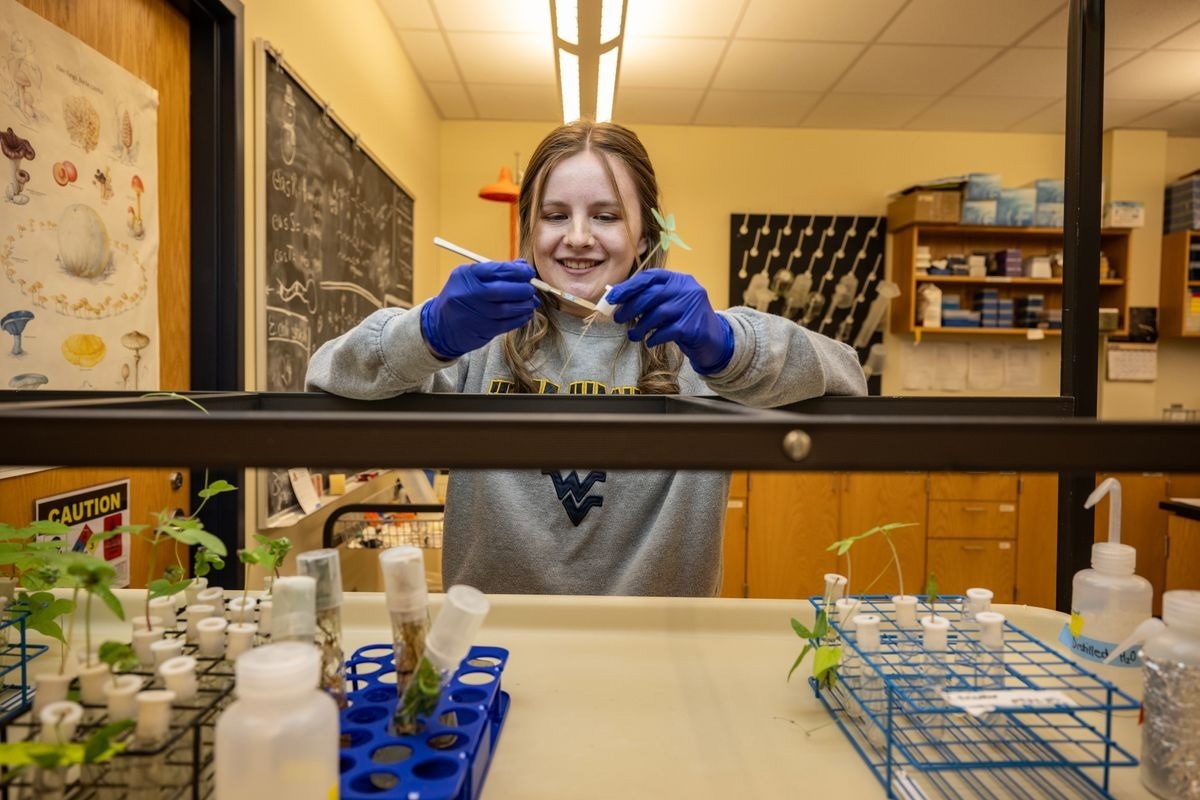 WVU Student Discovers Fungus with LSD-Like Therapeutic Potential