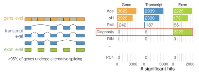 Exon-Specific Analysis Uncovers Novel Insights into Psychiatric Disease