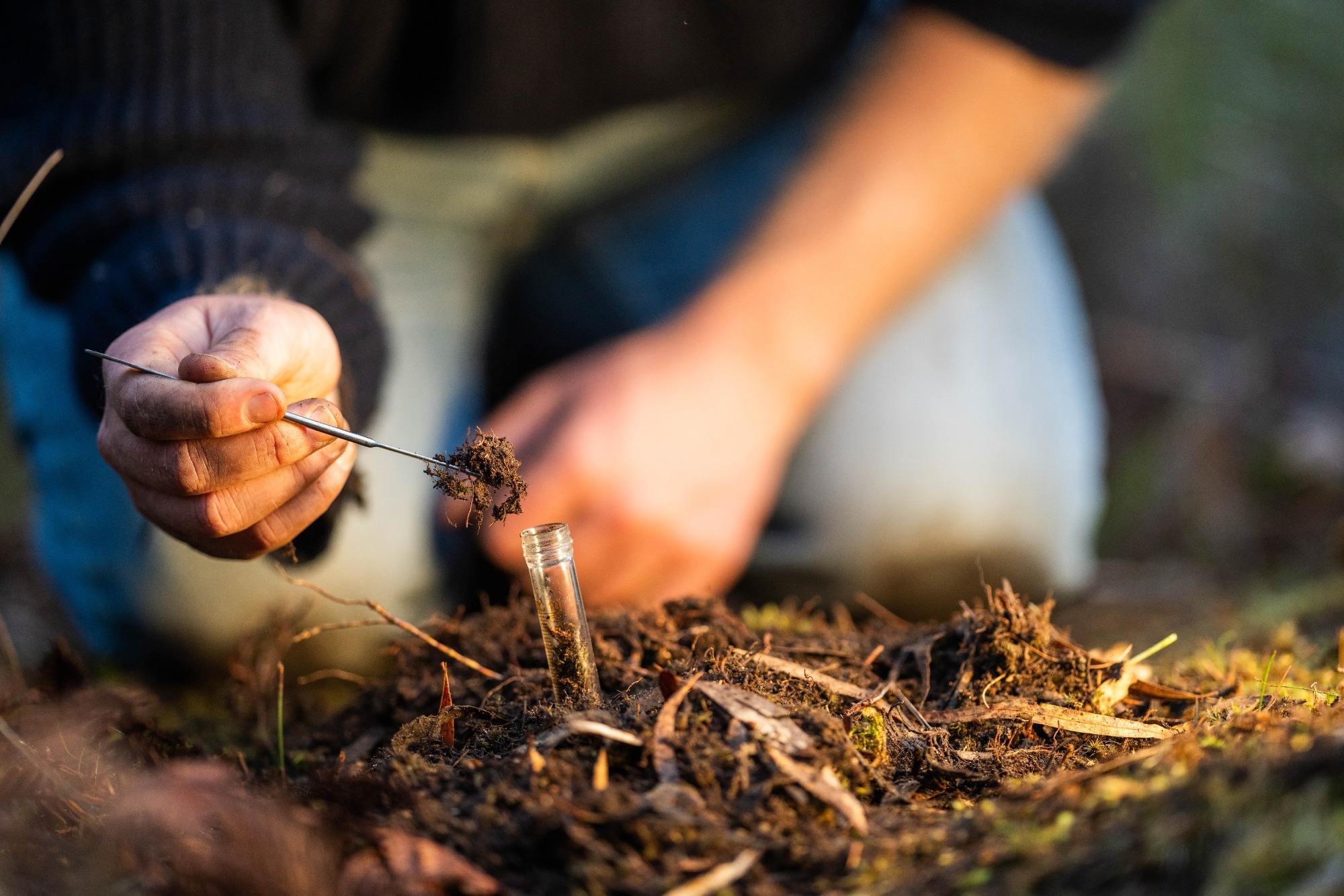 farmer collecting soil samples in a test tube in a field