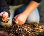 Metagenomic Study Examines Combined Effects of Global Change on Soil Microbes