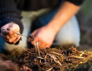 Metagenomic Study Examines Combined Effects of Global Change on Soil Microbes