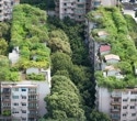 Green roofs reduce urban microplastic pollution by billions