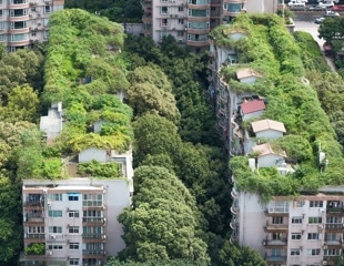 Green roofs reduce urban microplastic pollution by billions