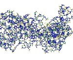 Study Shows Fibronectin Tension Loss Correlates With Breast Cancer Progression