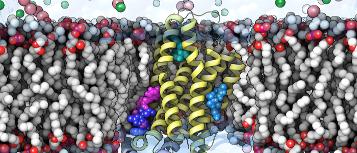 Novel Strategy for Combating High-Fat Diet-Induced Metabolic Dysfunction