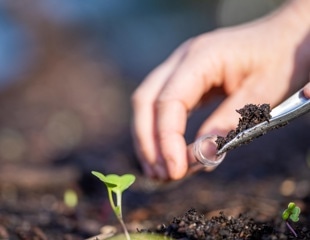 Collagen and Chitin Amendments Support Soil Microbes to Control Nematode Infections
