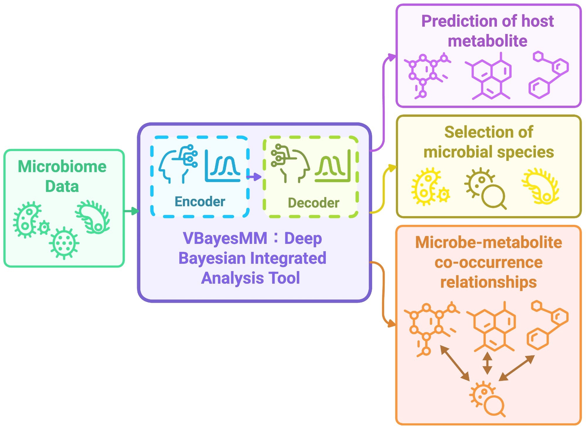 New AI Tool Illuminates Bacterial Impact on Body Chemistry