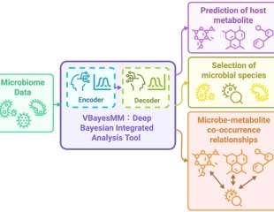 New AI Tool Illuminates Bacterial Impact on Body Chemistry