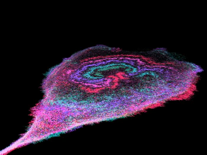 New Insights into Cell Membrane Energy Waves