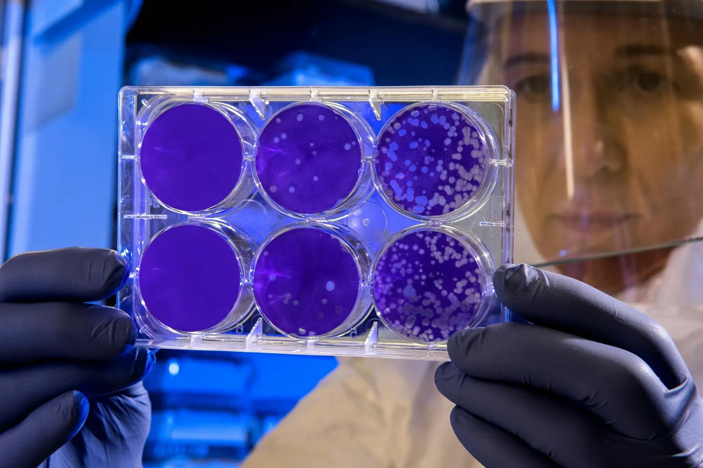 New Protein Superfamily Redefines Bacterial Interactions