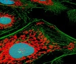 SNAP-tag2 System Improves Protein Imaging with Faster, Brighter Labeling