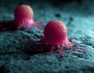 Regulators of Cancer Cell Communication During Invasion