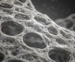3D-Printed MXene Scaffolds for Brain Injury Recovery