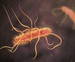 Proteins as a Natural Weapon Against Predatory Bacteria