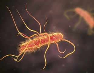 Proteins as a Natural Weapon Against Predatory Bacteria