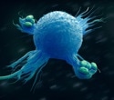 Researchers Uncover How Macrophages Respond to Infection Stress
