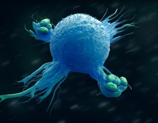 Researchers Uncover How Macrophages Respond to Infection Stress
