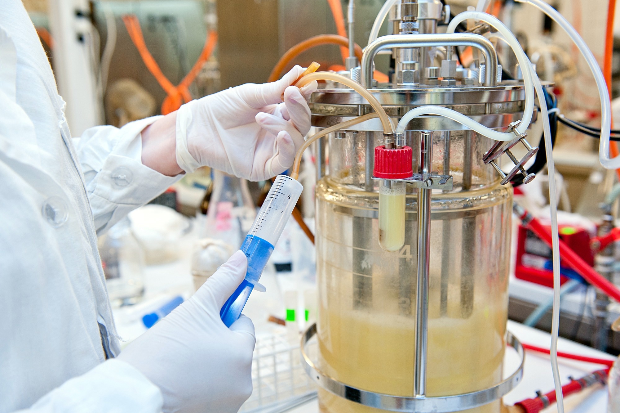 Taking sample from biotechnological bio-reactor in microbiological laboratory