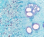 New Water-Based Method Extracts High-Purity Lignin