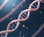 Exploring the Regulatory Potential of "Junk DNA"