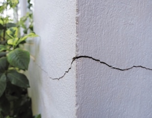 How Bacillus Spores Initiate Self-Healing Concrete
