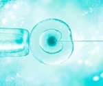 New Research Identifies a Central Protein for Oocyte Dormancy