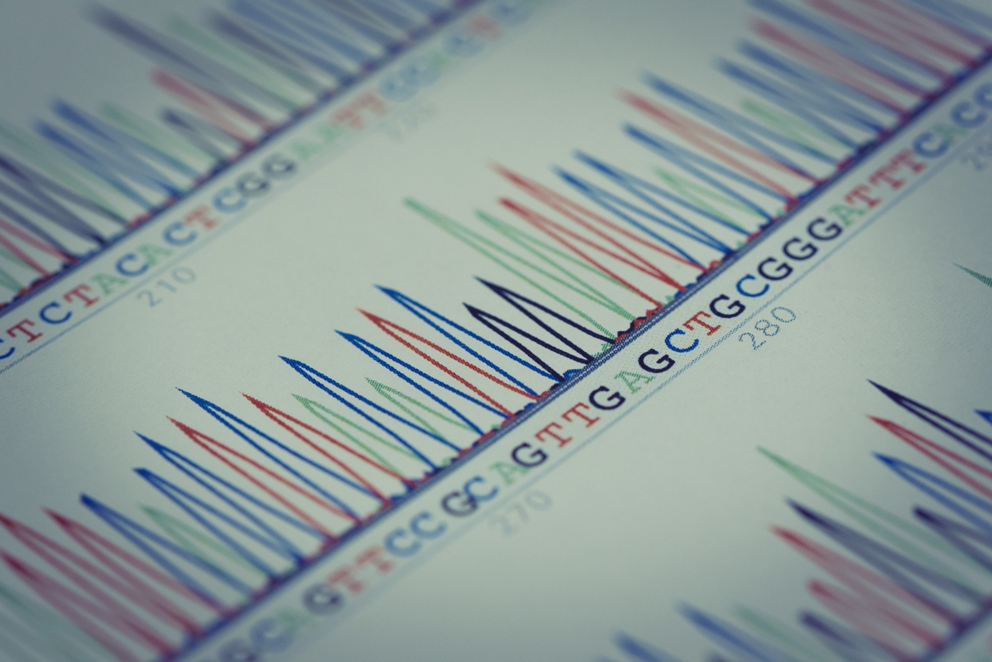 DNA sequence chart (Nucleotide sequence)