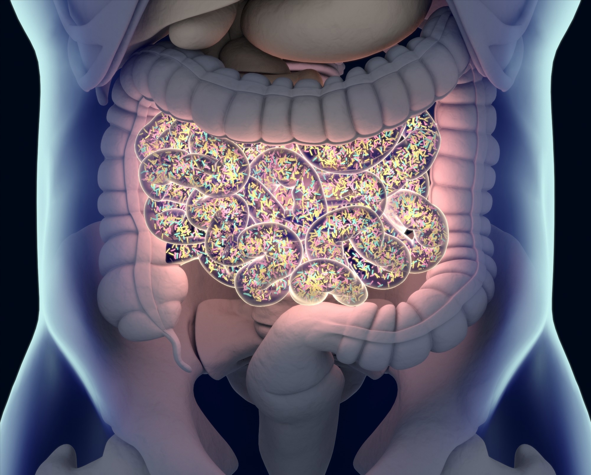 Bacteria inside the small intestine 3D illustration