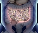 New Research Shows How Genes Shape Gut Bacteria