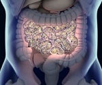 New Research Shows How Genes Shape Gut Bacteria