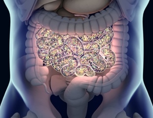 New Research Shows How Genes Shape Gut Bacteria