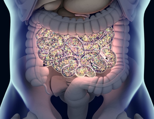 New Research Shows How Genes Shape Gut Bacteria