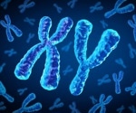 Loss of Zfy Genes Explains Why Some Sperm Fail