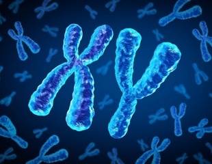 Loss of Zfy Genes Explains Why Some Sperm Fail