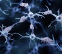 Protein Networks Expose New Therapeutic Targets for Alzheimer's