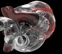 MRI And 3D Printing Reveal How Artificial Hearts Manage Blood Flow