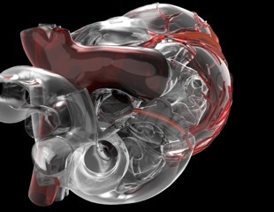MRI And 3D Printing Reveal How Artificial Hearts Manage Blood Flow