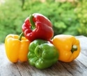 Millicompost Can Replace Peat For Growing Stronger Bell Pepper Seedlings