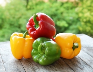 Millicompost Can Replace Peat For Growing Stronger Bell Pepper Seedlings