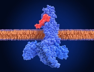 PapB Could Make Ozempic-Style Drugs Stronger and Last Longer