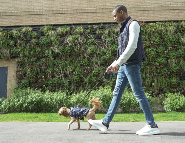 How Animals Use The Same Balance Control System