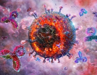 Deciphering PARP14's Role in Viral Pathogenesis