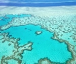 Climate Change Could Push The Great Barrier Reef To Near Total Collapse