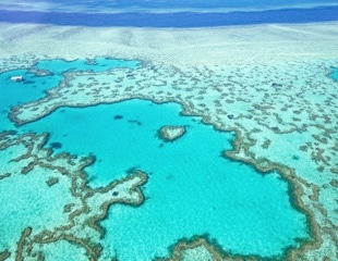 Climate Change Could Push The Great Barrier Reef To Near Total Collapse