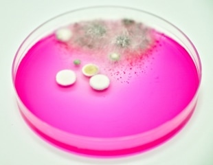 Molecular Test Targets Three Significant Pathogenic Fungi