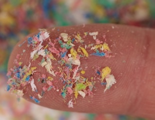 Nanoplastics Accelerate Ovarian Cancer Growth At Real-World Exposure Levels